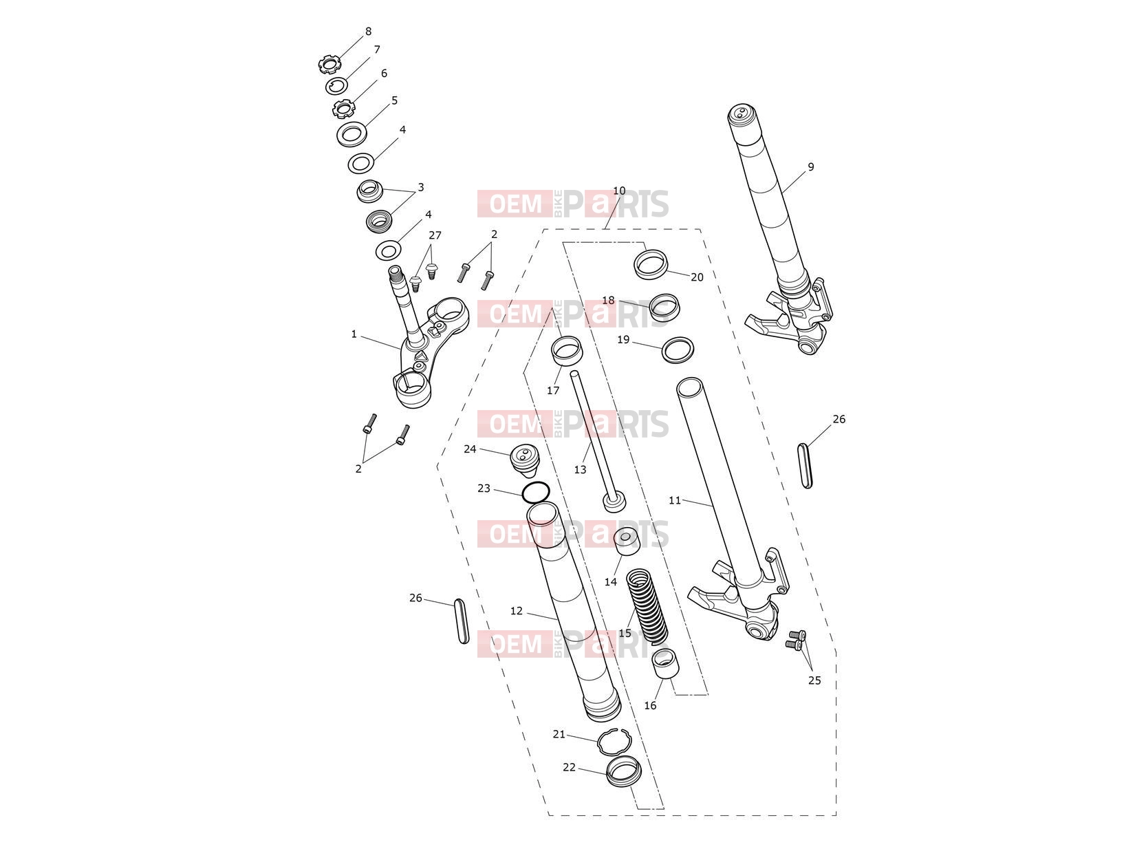 Triumph 2023 Thruxton RS Front Forks & Lower Yoke