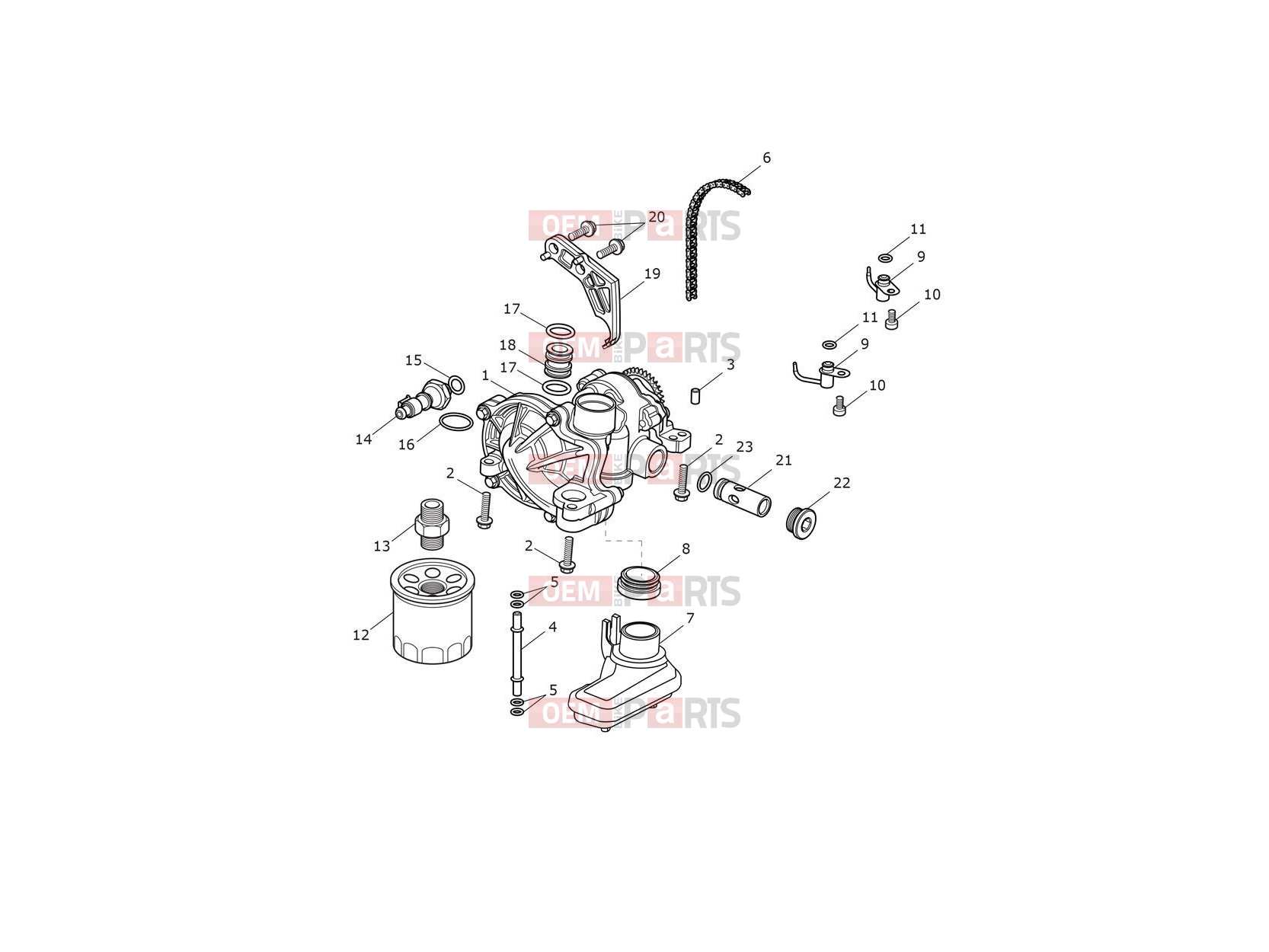 Triumph 2023 Thruxton RS Lubrication System