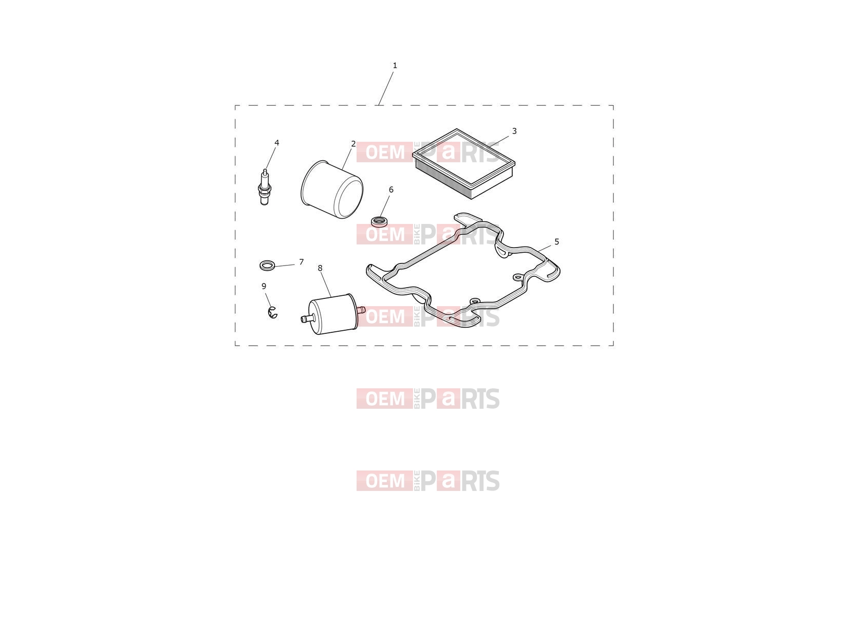 Triumph 2023 Thruxton RS Engine Service Kit