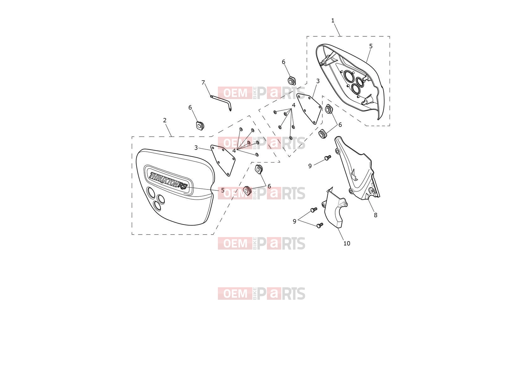 Triumph 2023 Thruxton RS Side Fairing Panels