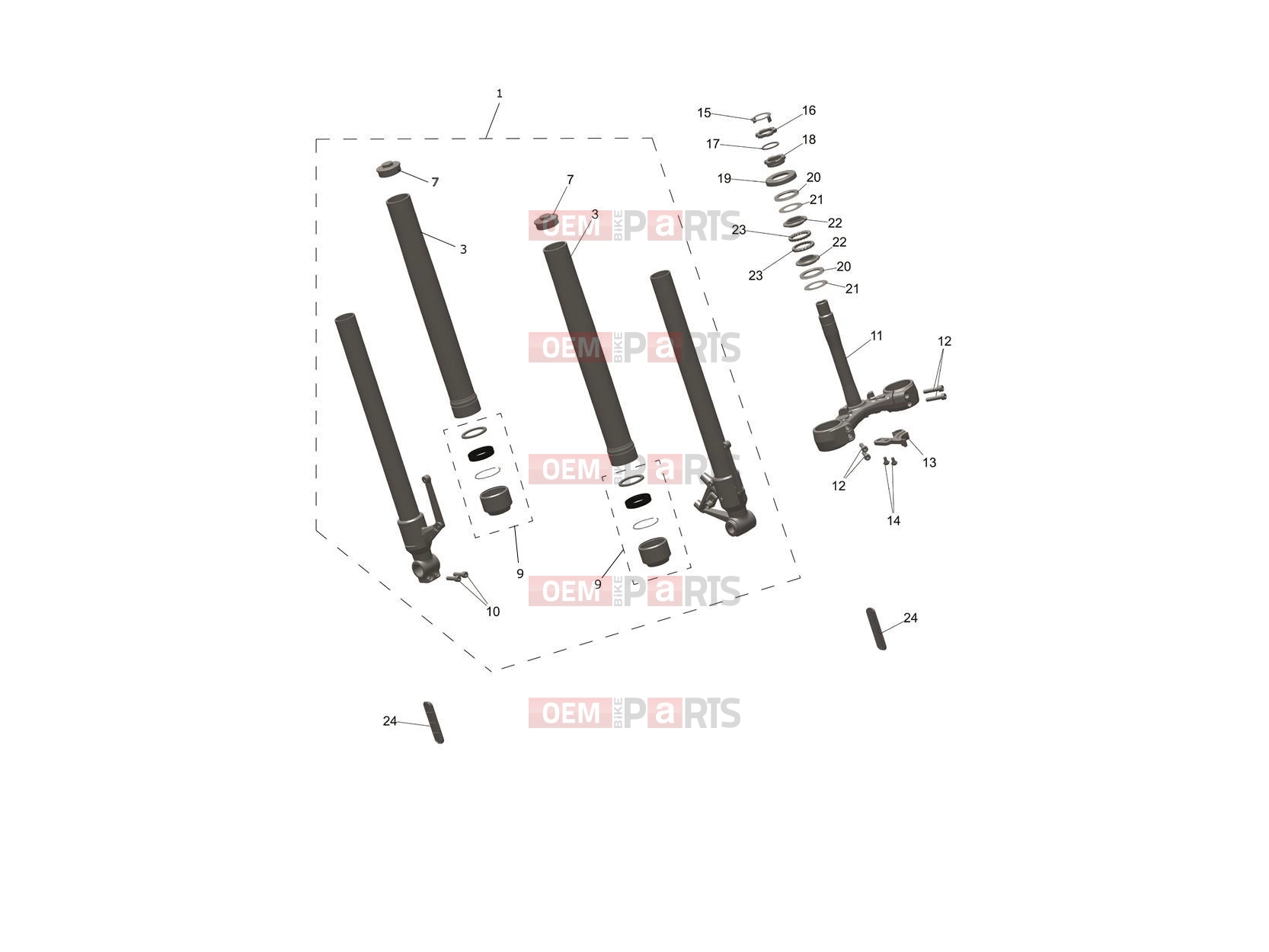 Triumph 2025 Speed 400 Front Forks