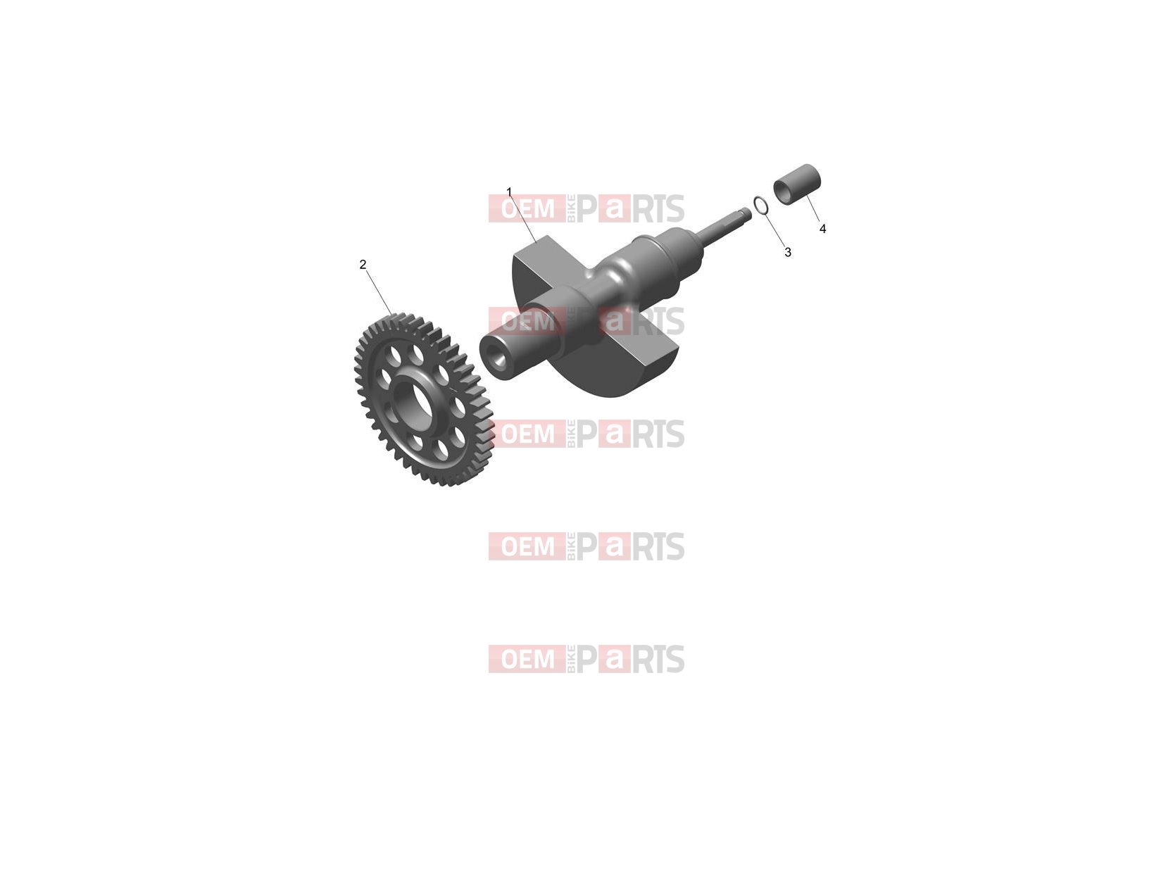 Triumph 2025 Speed 400 Balancer