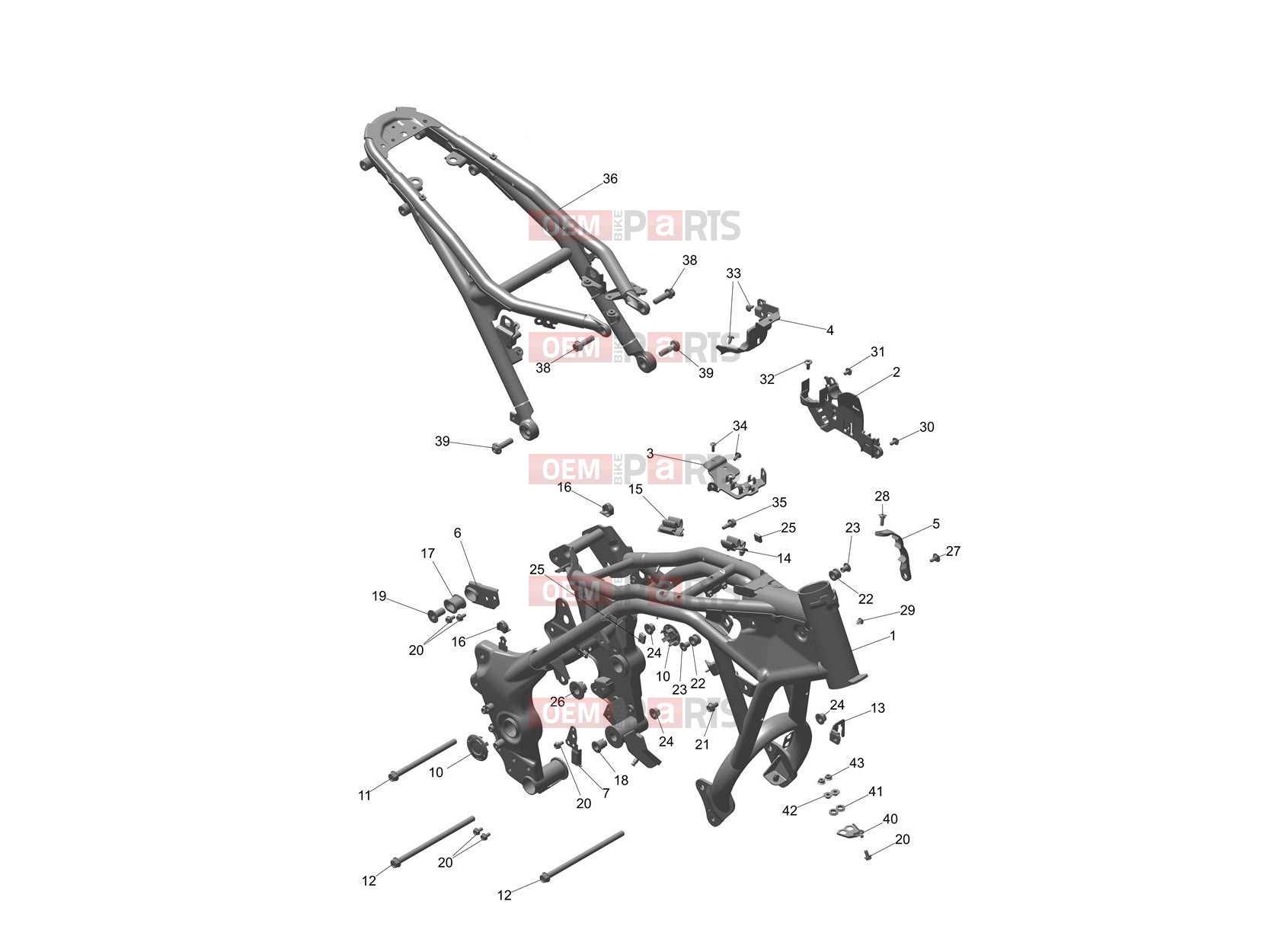 Triumph 2025 Speed 400 Frame & Rear Subframe