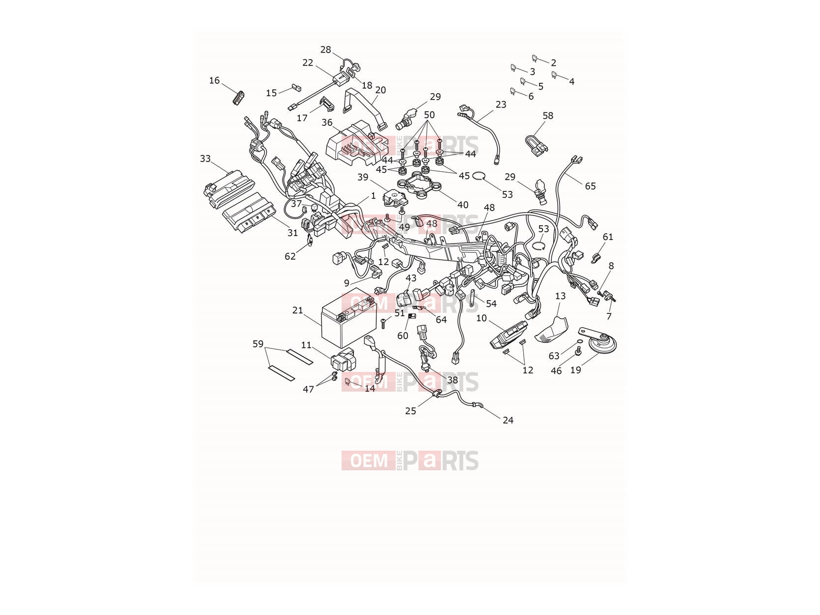 Triumph 2026 TIGER 900 Desert Electrical System