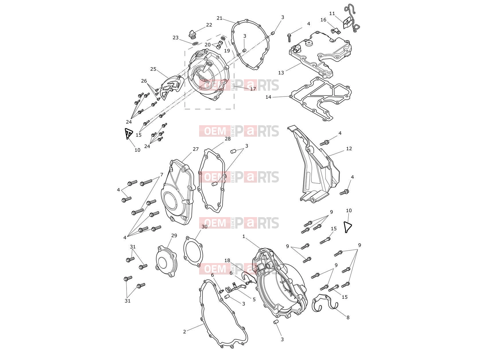 Triumph 2021 TIGER 900 Engine Covers