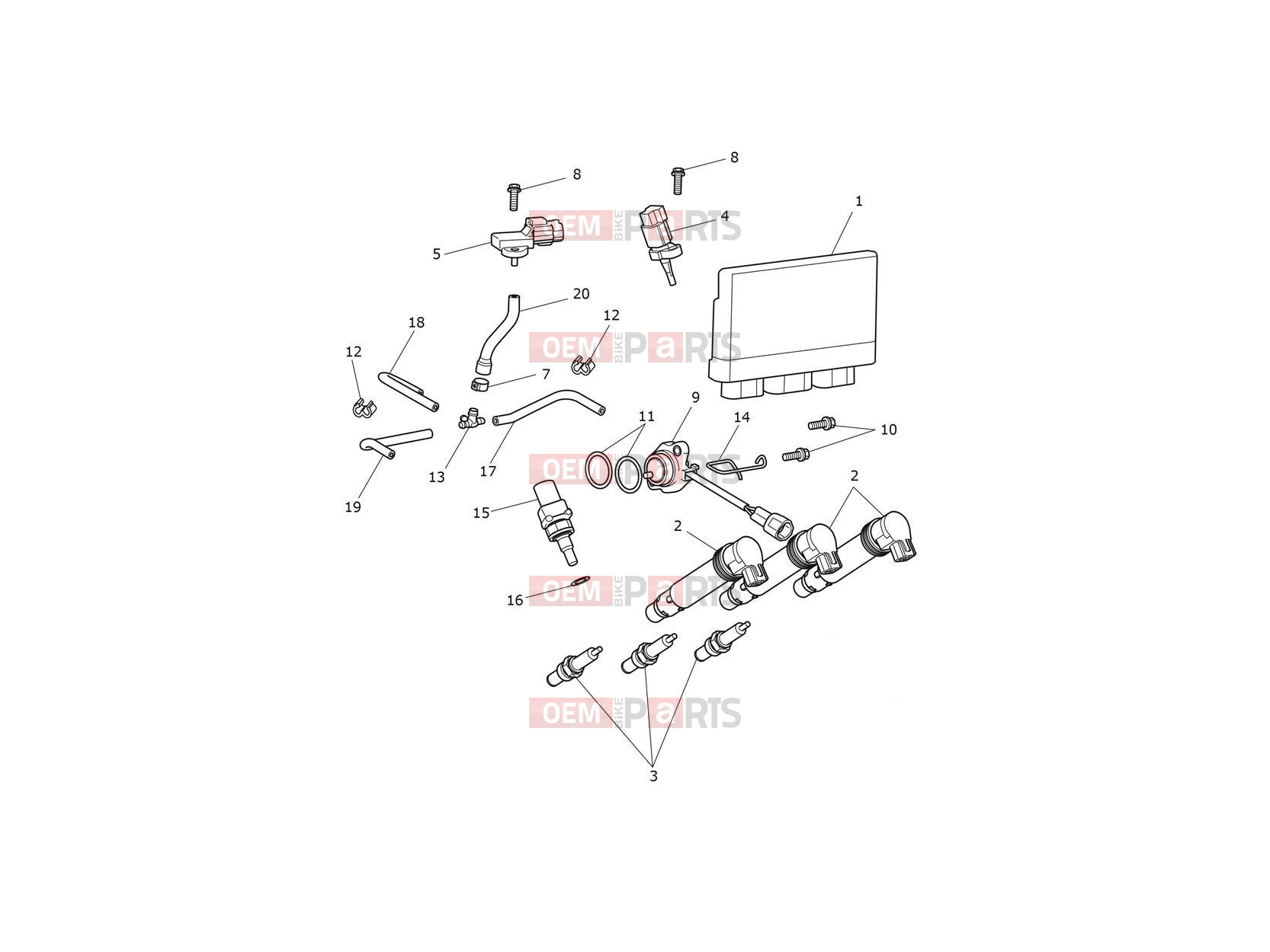 Triumph 2021 TIGER 900 Engine Management System