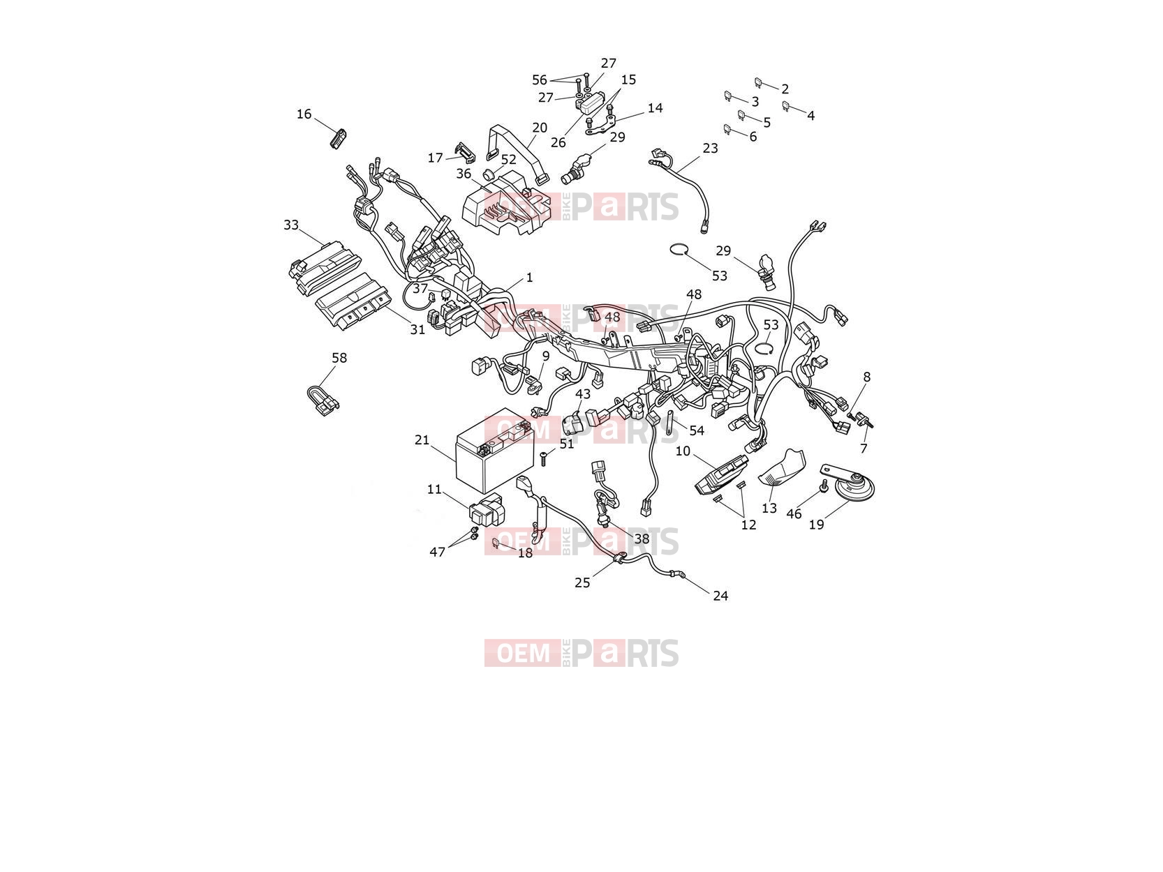 Triumph 2021 TIGER 900 Electrical System