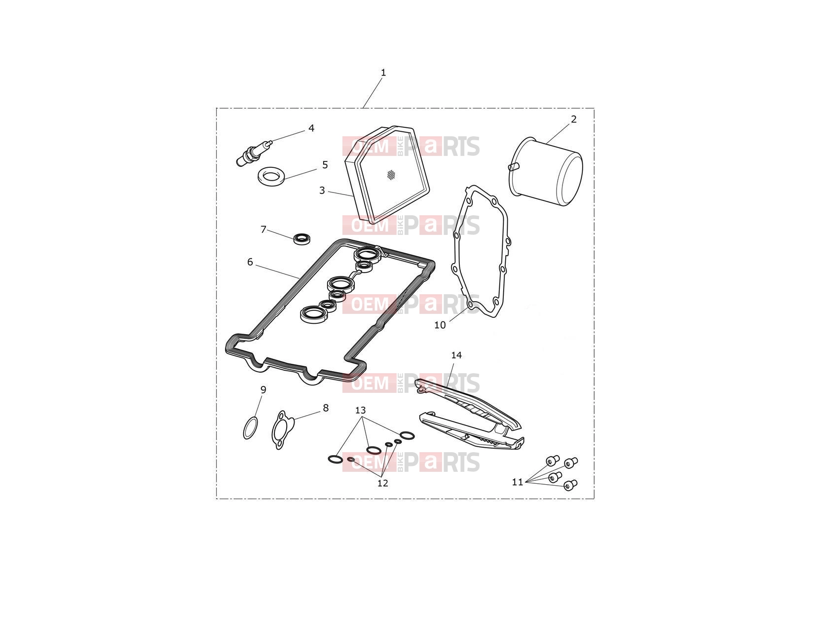 Triumph 2021 TIGER 900 Engine Service Kit