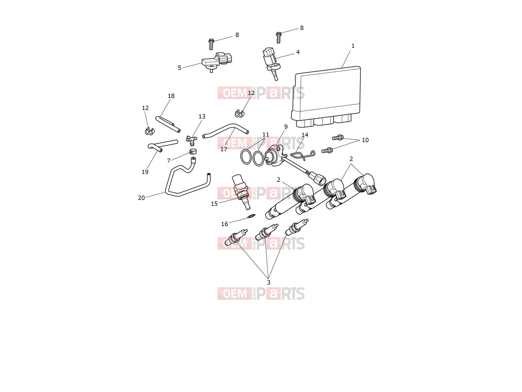 Triumph 2026 TIGER 900 Alpine Engine Management System