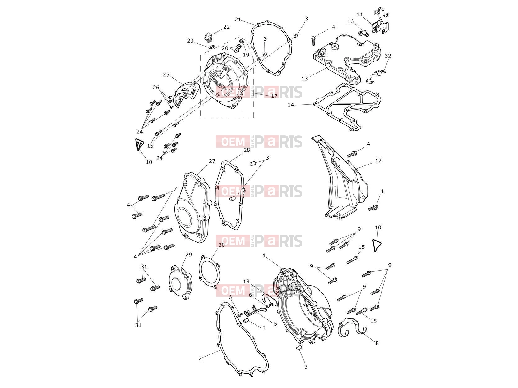 Triumph 2026 TIGER 900 Alpine Engine Covers