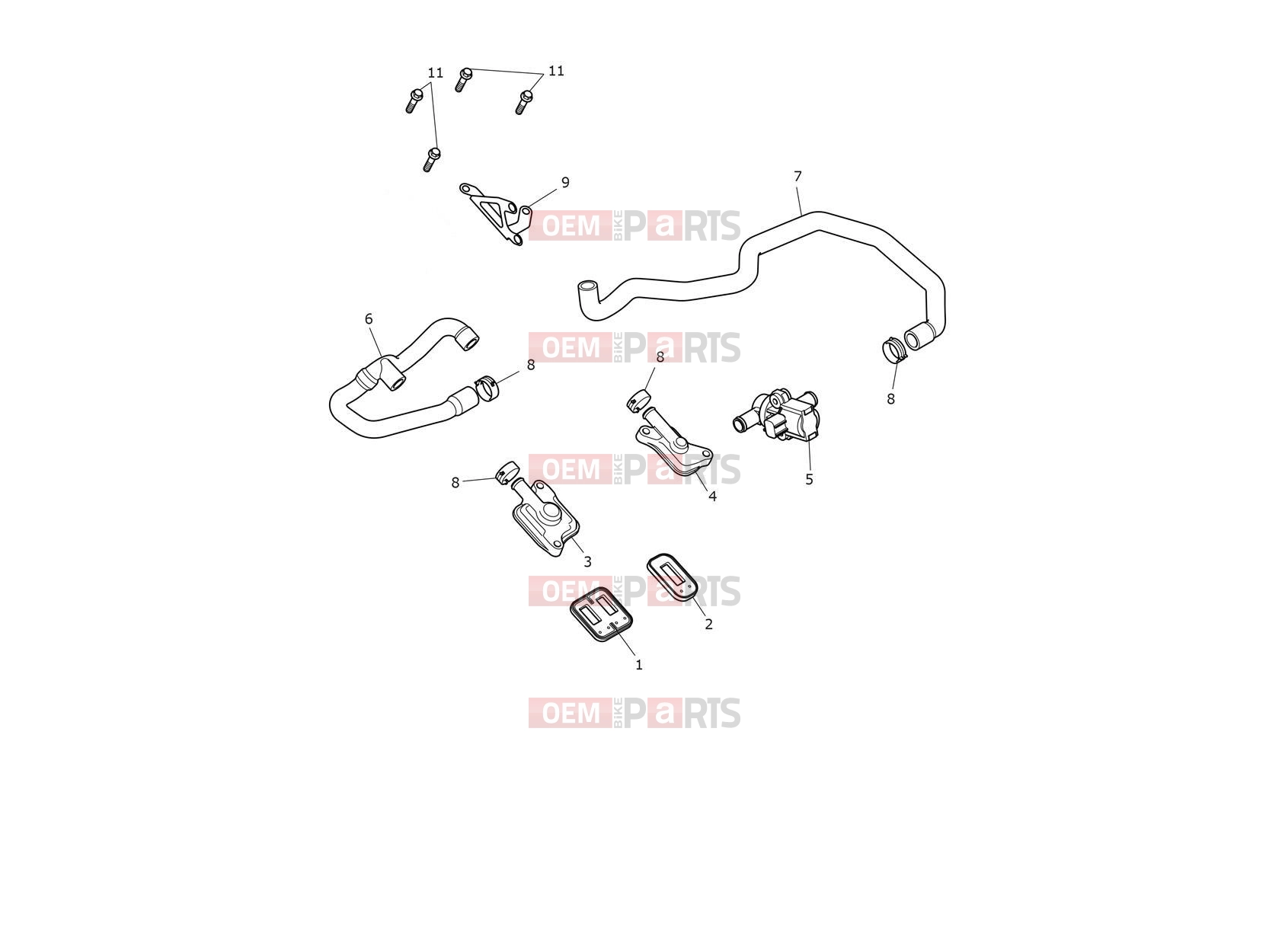 Triumph 2025 TRIDENT 660cc CB1390 > CN4039 Emissions Control System