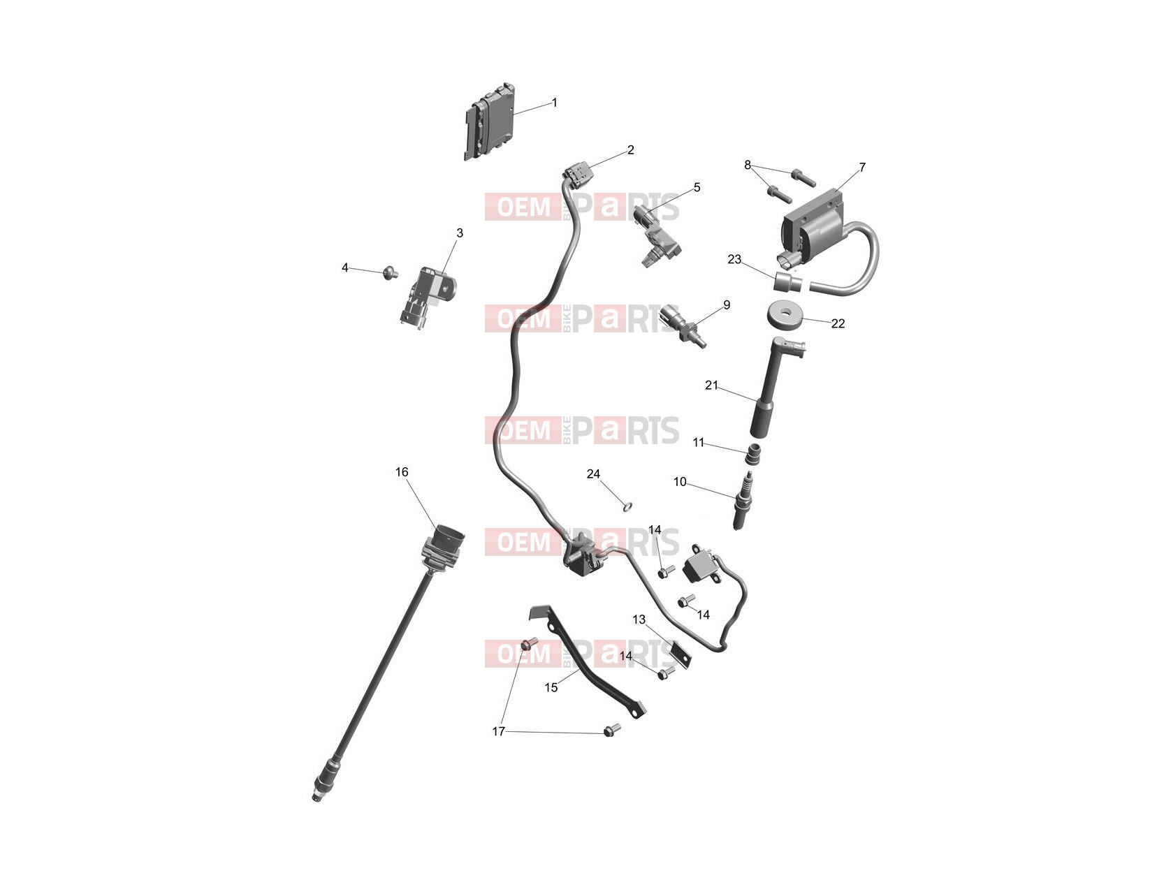 Triumph 2025 SCRAMBLER 400 XC Electrical System