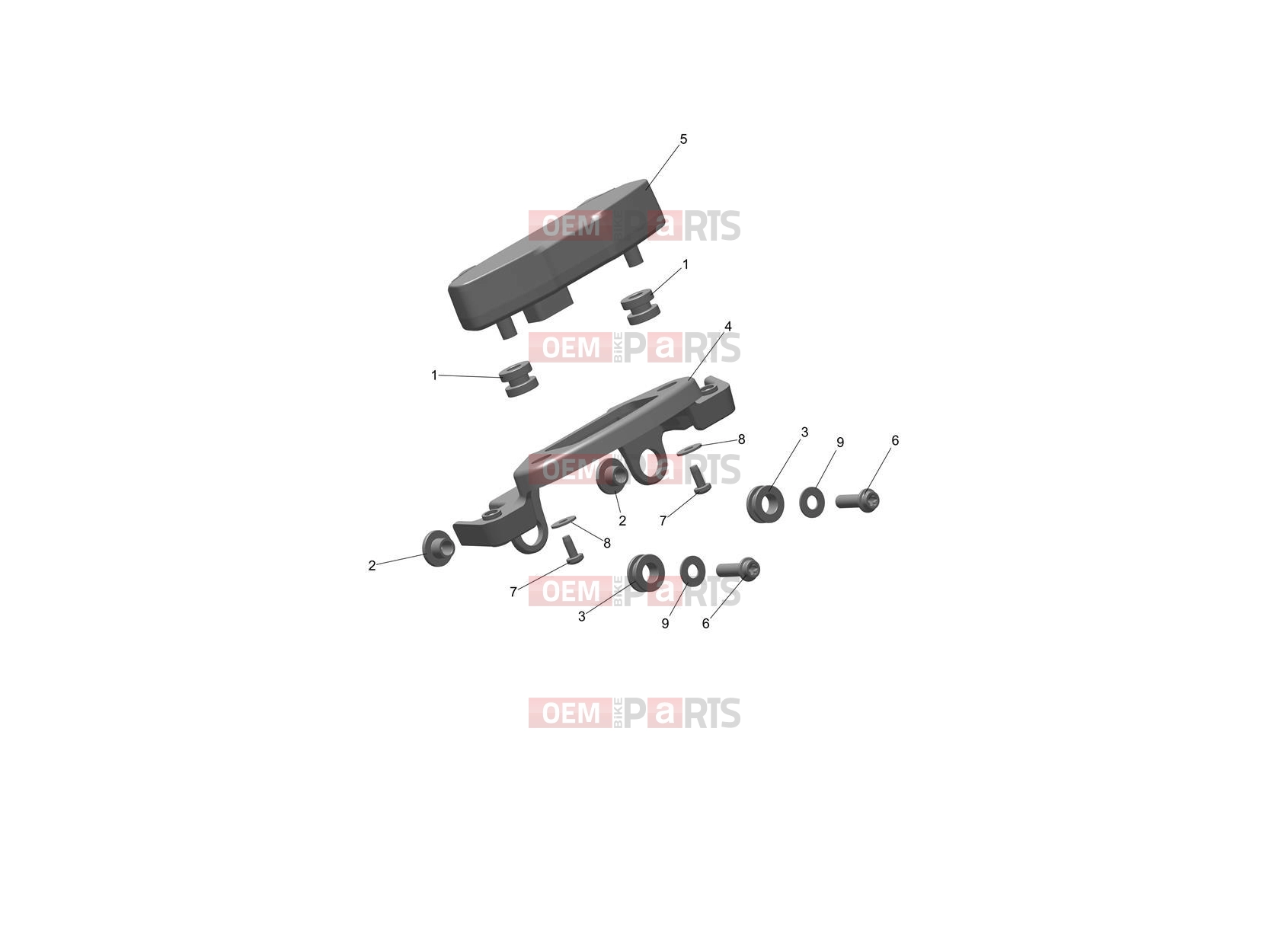 Instruments - Triumph TF250-E 2026
