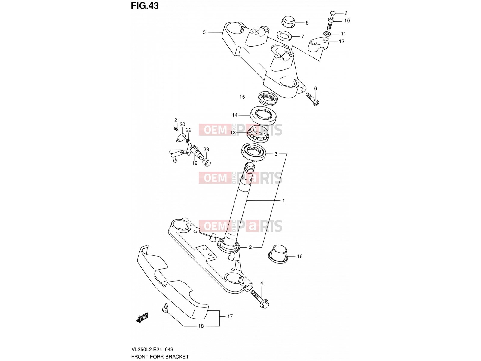SUZUKI VL250 K2 (2012) Intruder (E24) 43 - FRONT FORK BRACKET