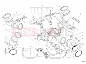 DUCATI 2014 Monster 795 THROTTLE BODY » INTAKE, CARBURETTOR