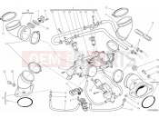 DUCATI Monster 795 ABS THROTTLE BODY » INTAKE, CARBURETTOR