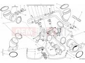 DUCATI 2014 Monster 796 ABS 016 - THROTTLE BODY » INTAKE, CARBURETTOR
