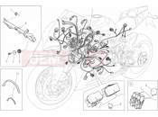 DUCATI Superbike 1199 Panigale R WIRING HARNESS » WIRING HARNESS