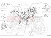 DUCATI Monster 696 ABS ANNIVERSARY WIRING HARNESS » WIRING HARNESS