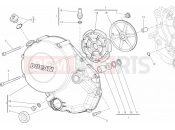DUCATI Monster 696 ANNIVERSARY CLUTCH COVER » CLUTCH