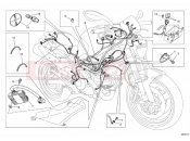 DUCATI 2013 Monster 795 WIRING HARNESS » WIRING HARNESS