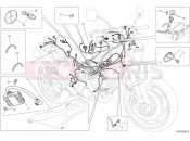 DUCATI Monster 796 ABS ANNIVERSARY WIRING HARNESS » WIRING HARNESS