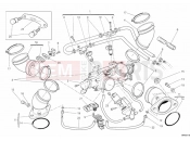 DUCATI Monster 796 ABS ANNIVERSARY THROTTLE BODY » INTAKE, CARBURETTOR