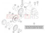 HUSQVARNA 701 ENDURO (F2660P1) [AU] ELECTRIC STARTER|Engine|40