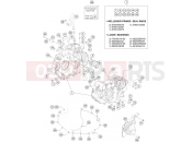 HUSQVARNA 2019 Street 701 Supermoto (F2603S3) [EU] ENGINE CASE|Engine|30