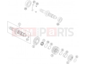 HUSQVARNA 2017 Street FS 450 (F2303Q0) [EU] TRANSMISSION I - MAIN SHAFT|Engine|33