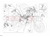 DUCATI Monster 659 WIRING HARNESS » WIRING HARNESS