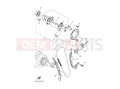 YAMAHA YFM 550 YFM550FWAD YFM5FGPLED 1HSP 2013 CAMSHAFT & CHAIN
