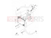 YAMAHA YFM 550 YFM550FWAD YFM5FGPLED 1HSP 2013 RADIATOR & HOSE