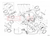 DUCATI Monster 796 ABS THROTTLE BODY » INTAKE, CARBURETTOR
