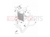 YAMAHA Aerox 50 YQ 50 YQ50 AEROX (1BX1) 2010 RADIATOR & HOSE
