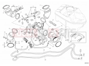 DUCATI Hypermotard 796 THROTTLE BODY » INTAKE, CARBURETTOR