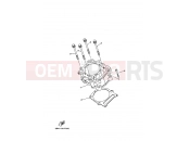 YAMAHA YFM 550 Grizzly YFM550FWAD YFM5FGPY GRIZZLY 550 FI 34D3 2009 CYLINDER