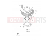 YAMAHA YFM 350 Grizzly YFM350FWA GRIZZLY 350 38P2 2009 CYLINDER