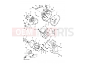 YAMAHA FZ1-N Fazer Naked FZ1-N FAZER NAKED (2D1J) 2009 CRANKCASE COVER 1