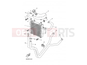 YAMAHA Aerox 50 YQ 50 YQ50 AEROX (3C6P) 2008 RADIATOR & HOSE
