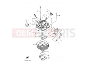 YAMAHA YFM 125 Grizzly YFM125A GRIZZLY 125 1C5K 2008 CYLINDER HEAD