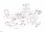 DUCATI Superbike 1098 TIMING BELT » UNCLASSIFIED
