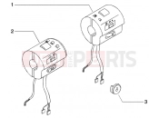 PIAGGIO BV 250 MY2005 (U.S.A.) Electrical device