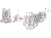 PIAGGIO BV 250 (U.S.A.) Crankshaft