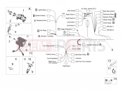 APRILIA Dorsoduro 750 Factory ABS / NO ABS Electrical system I