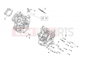 APRILIA Dorsoduro 750 Factory ABS / NO ABS Crankcases II