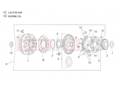 APRILIA RSV 1000 Tuono Clutch II