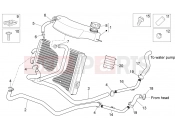 APRILIA Sport City Street 300 4T 4V Cooling system