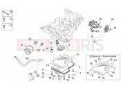 APRILIA Tuono V4 1100 Factory (ZD4TYG) Lubrication