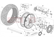 APRILIA Tuono V4 1100 Factory (ZD4TYG) Rear wheel